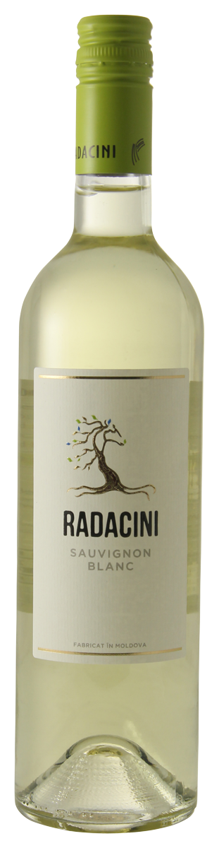 Radacini - Sauvignon Blanc
