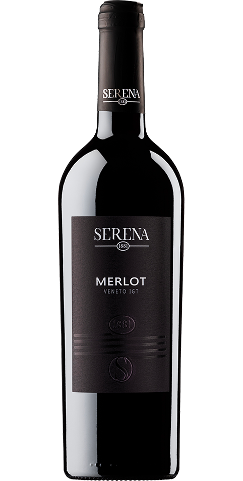 Serena 1881 - Merlot - Inox vat 25l (excl. Horeca)