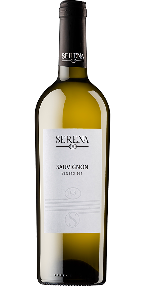 Serena 1881 - Sauvignon - inox vat 25l (excl. Horeca)