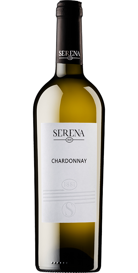 Serena 1881 - Chardonnay - Inox vat 25l (excl. Horeca)